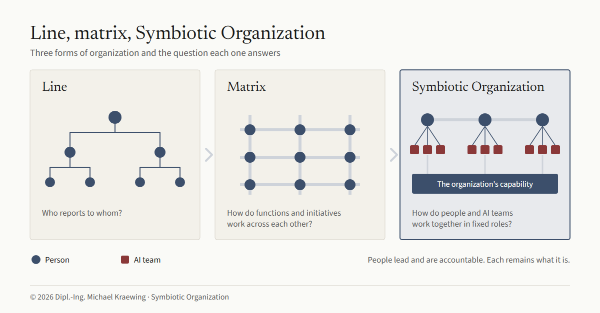 Figure 1: Line, matrix, Symbiotic Organization